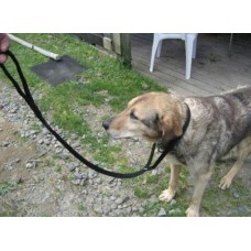 Dog slip (training) lead